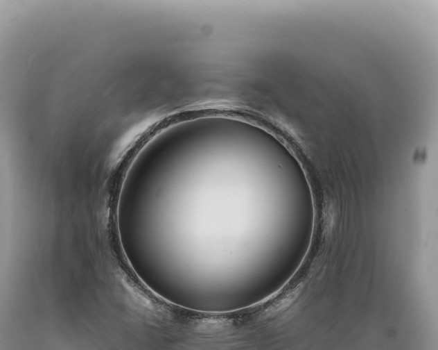 X0000089371406200706221211