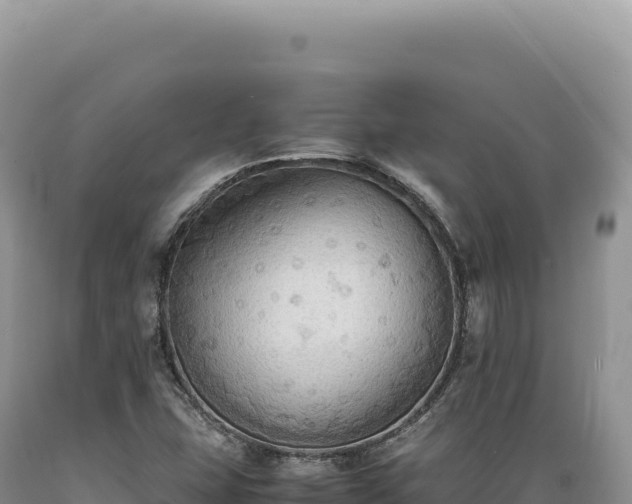 X0000089371407200706221211