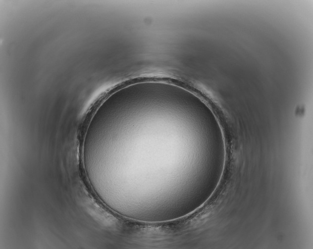 X0000089371408200706221211
