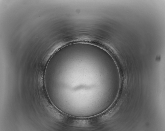 X0000089371409200706221211