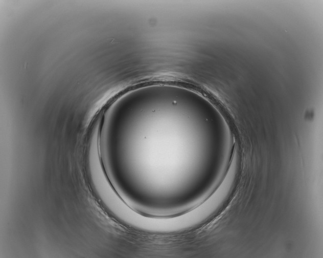 X0000089371410200706221211