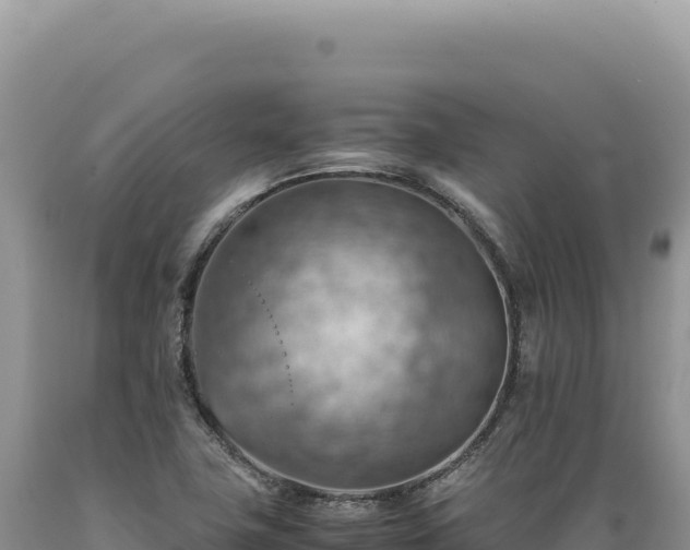 X0000089371411200706221211