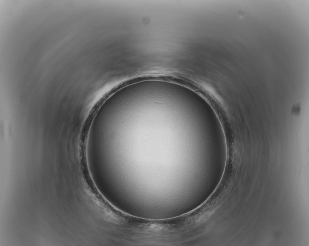 X0000089371412200706221211