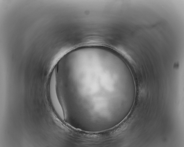 X0000089371413200706221211