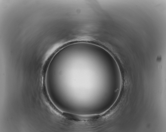 X0000089371414200706221211