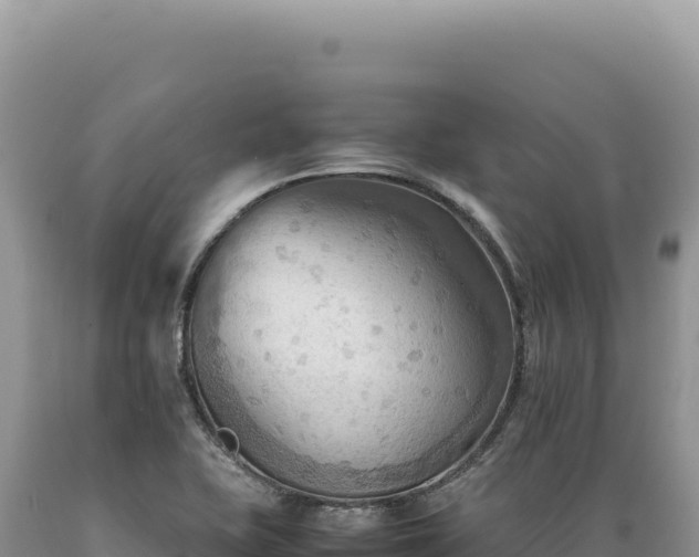 X0000089371415200706221211