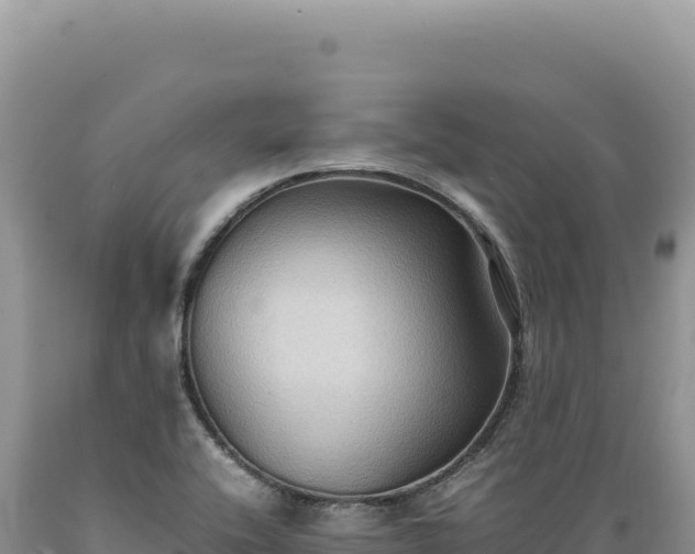 X0000089371416200706221211