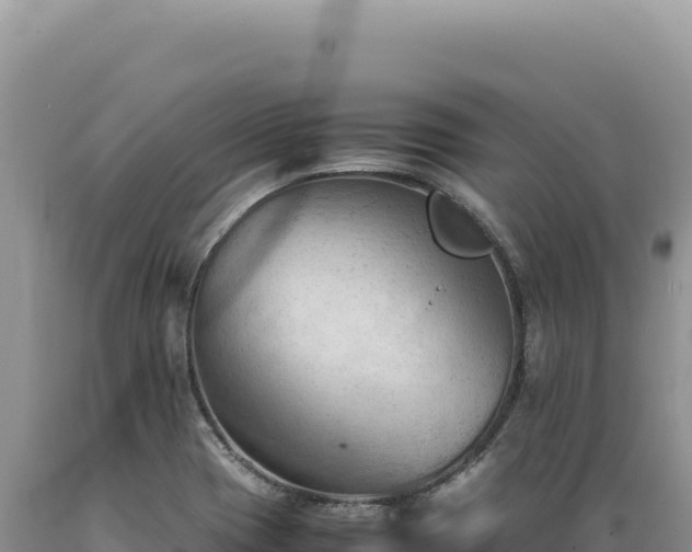 X0000089371417200706221211