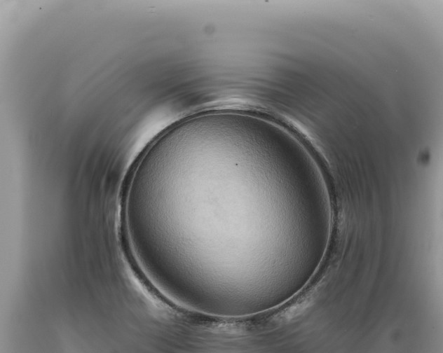 X0000089371418200706221211
