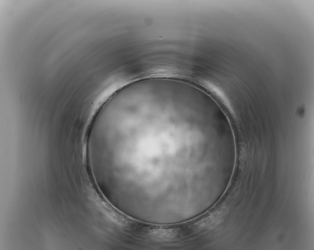 X0000089371419200706221211