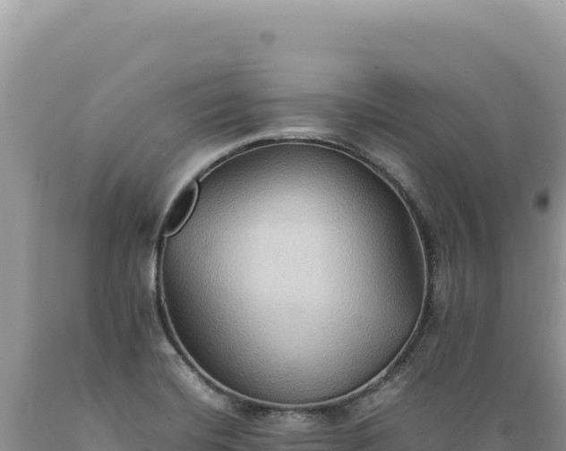 X0000089371420200706221211