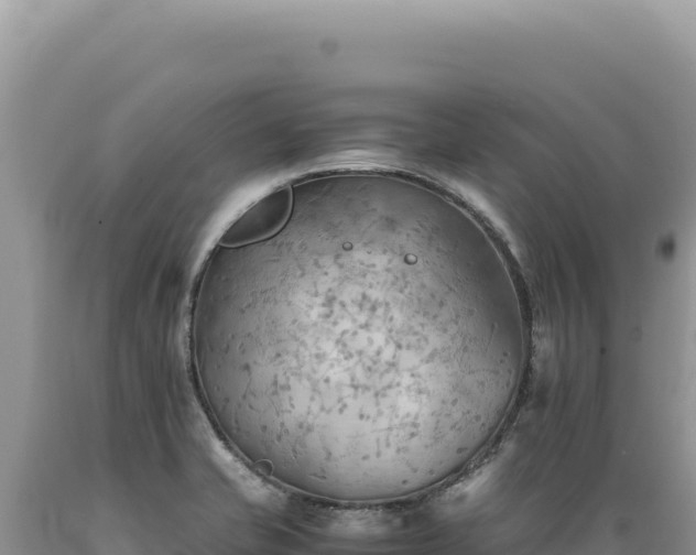 X0000089371421200706221211