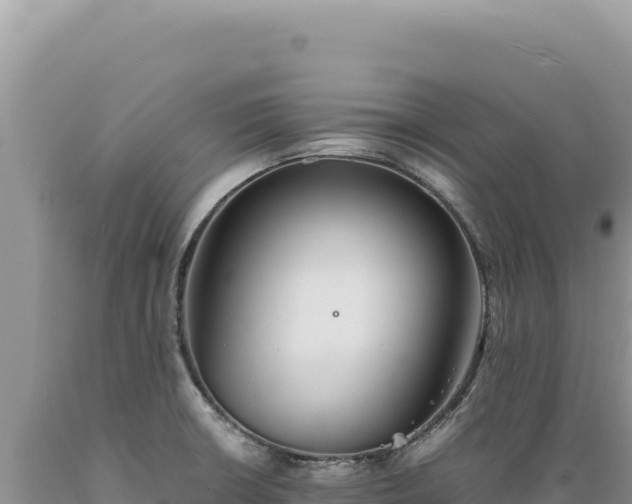 X0000089371426200706221212