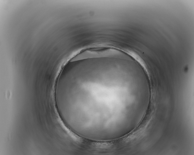 X0000089371429200706221212