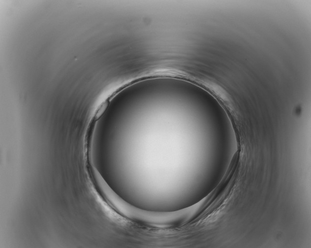 X0000089371430200706221212