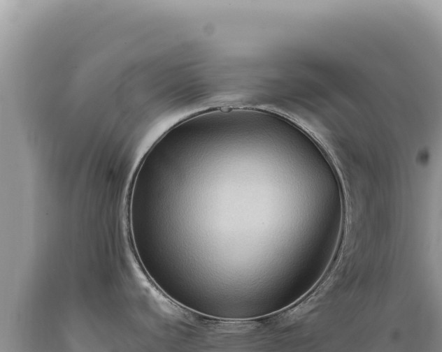 X0000089371440200706221212