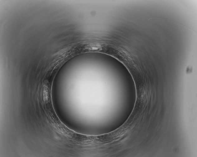 X0000089371442200706221211