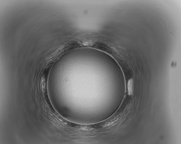 X0000089371443200706221211