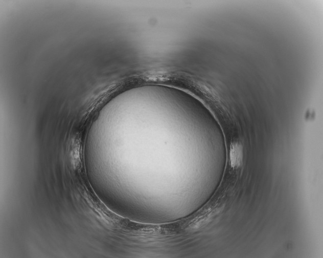 X0000089371444200706221211