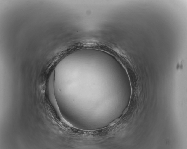 X0000089371445200706221211