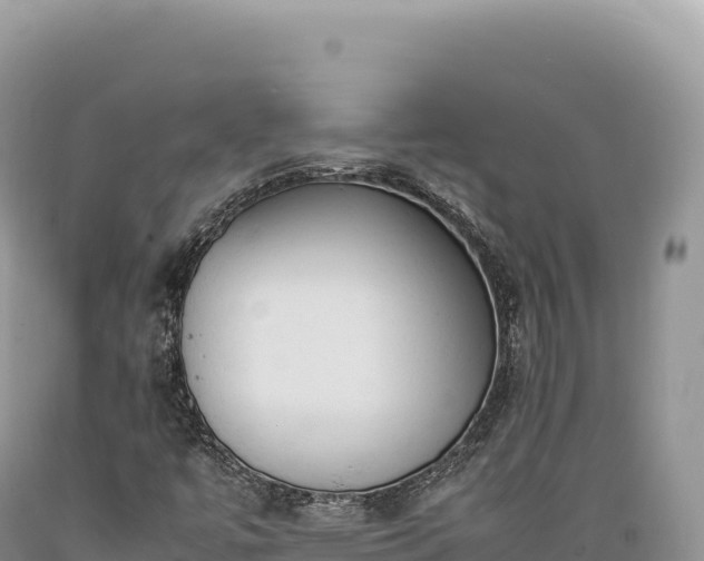 X0000089371447200706221211