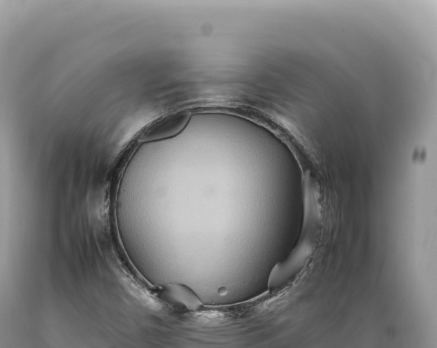 X0000089371450200706221211