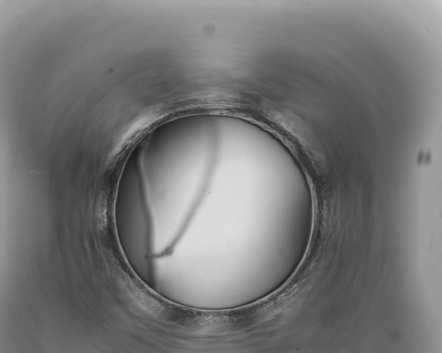 X0000089371451200706221211