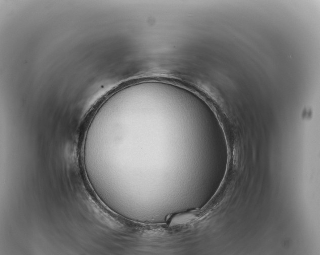 X0000089371452200706221211
