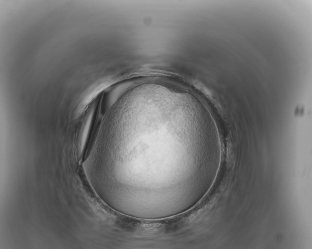 X0000089371453200706221211