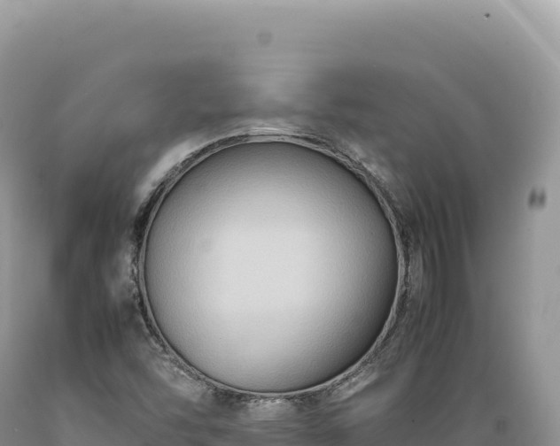 X0000089371454200706221211