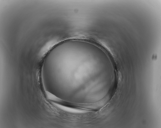 X0000089371455200706221211