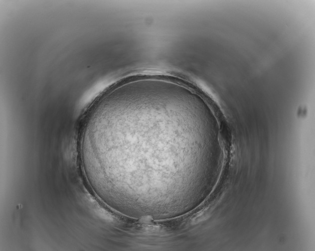 X0000089371456200706221211