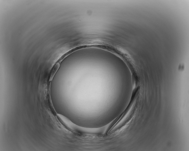 X0000089371457200706221211