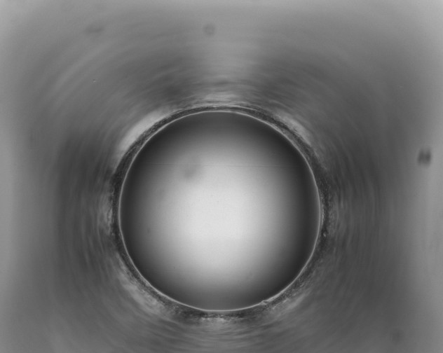 X0000089371458200706221211
