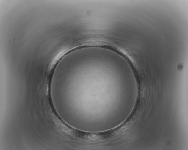 X0000089371459200706221211