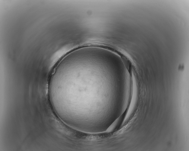 X0000089371461200706221211