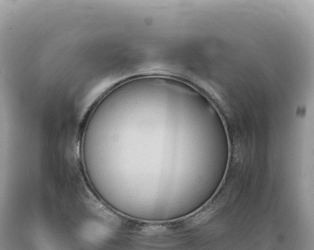 X0000089371462200706221211