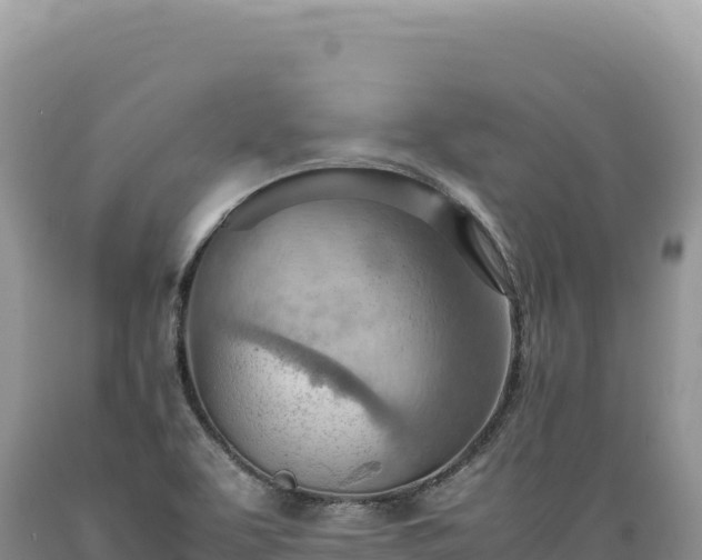 X0000089371463200706221211