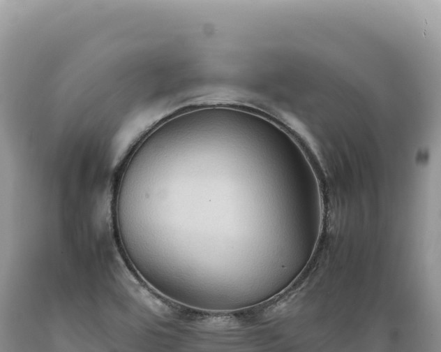 X0000089371464200706221211