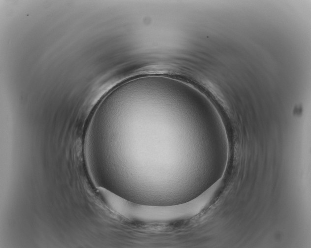X0000089371465200706221211