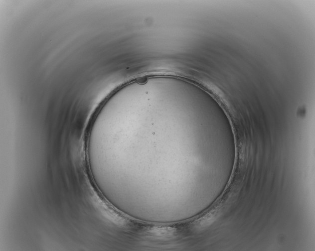 X0000089371466200706221211