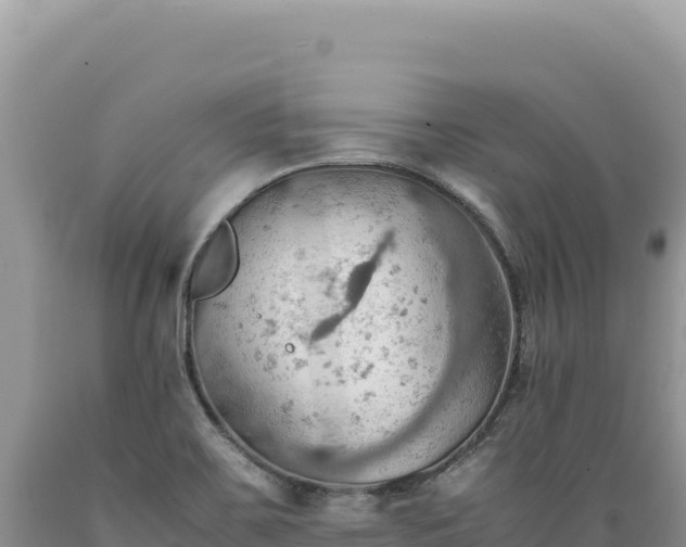 X0000089371467200706221211