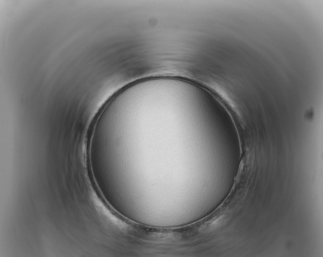 X0000089371468200706221211