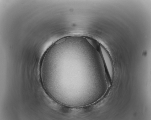 X0000089371469200706221211