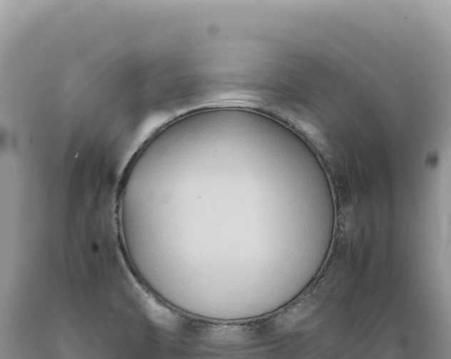 X0000089371470200706221211