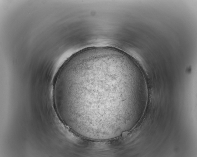 X0000089371472200706221211
