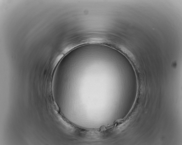 X0000089371473200706221211