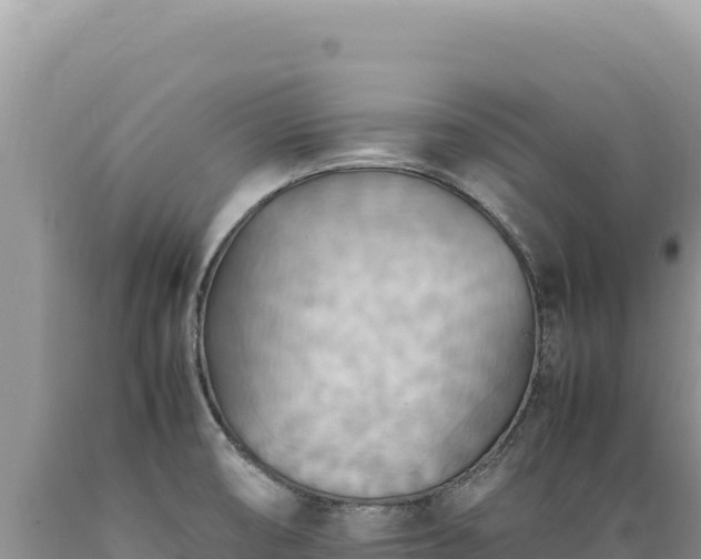X0000089371474200706221211