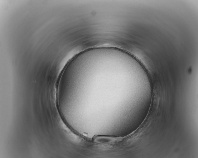 X0000089371476200706221211