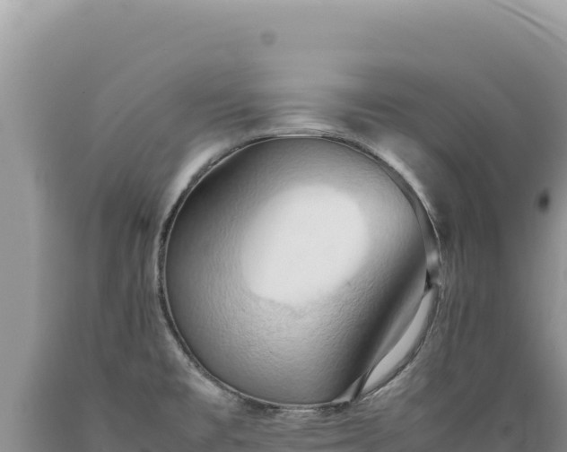 X0000089371477200706221211